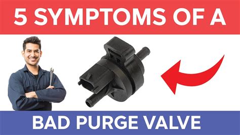 purge valve|8 Noticeable Symptoms of a Bad Purge Valve